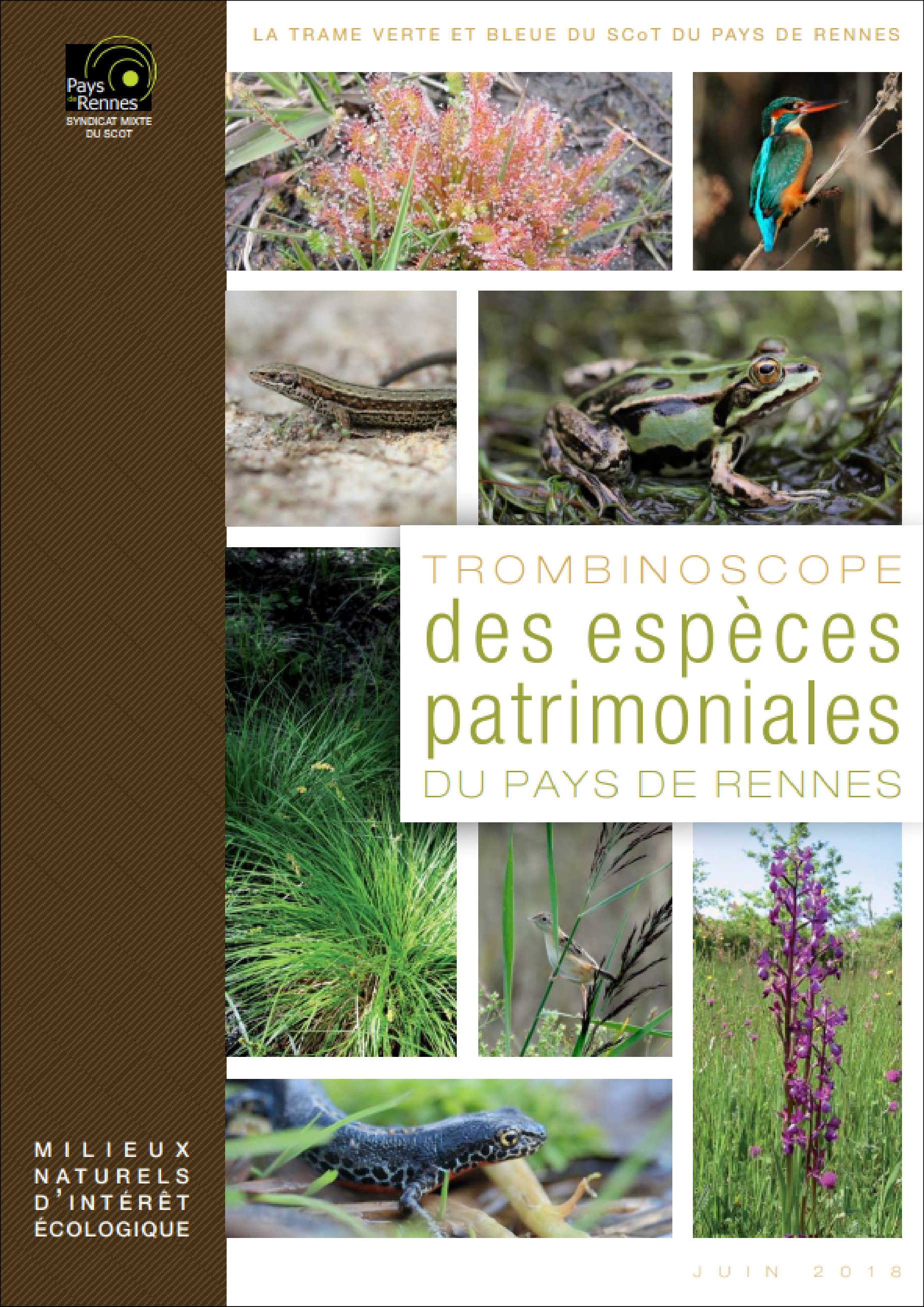 Trombinoscope des espèces